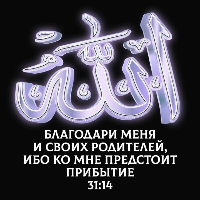 коран 31. коран 31. коран 31. коран 31. ни один человек не знает что он приобретет завтра коран.