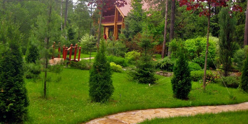 сосновый дом дачи. загородный деревянный дом. загородный дом. срубовой дом в сосновом бору. экодом штат вашингтон (пьюджет-саунд).