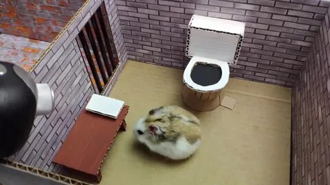 Как открыть офис в хомяке