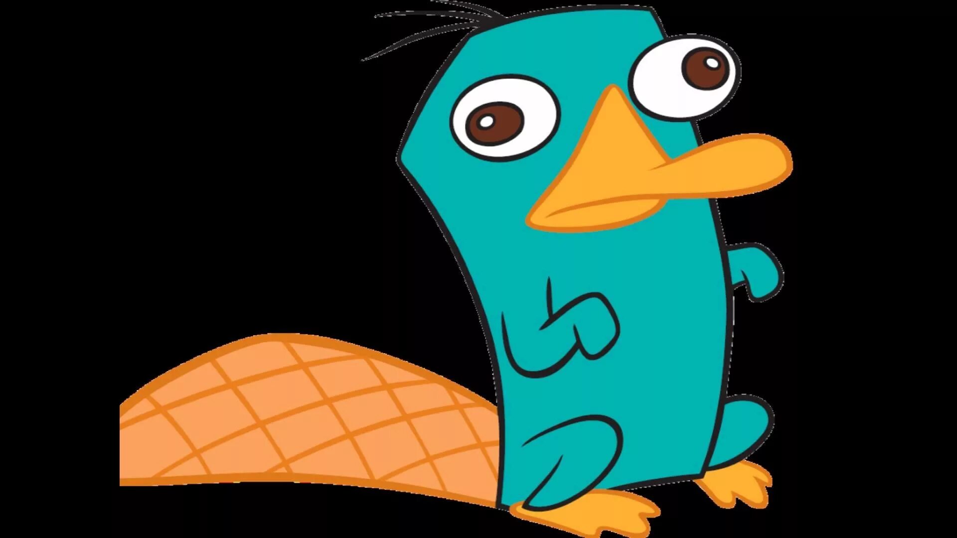 Perry the platypus