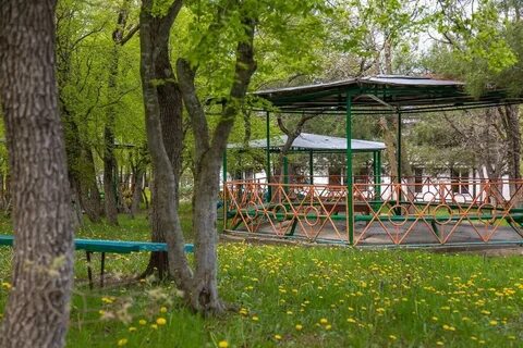 Криница детский лагерь