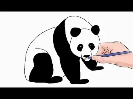 Как нарисовать панду картинки