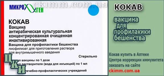 Вакцина антирабическая культуральная. Вакцина против бешенства кокав. Кокав инструкция. Вакцина антирабическая культуральная. Кокав вакцина от бешенства.