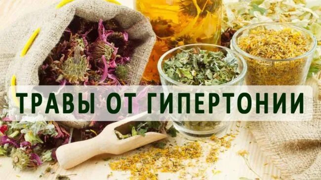 Травы понижающие давление при гипертонии. Травы от гипертонии. травы для понижения давления. сбор от гипертонии. травы для гипертоников.