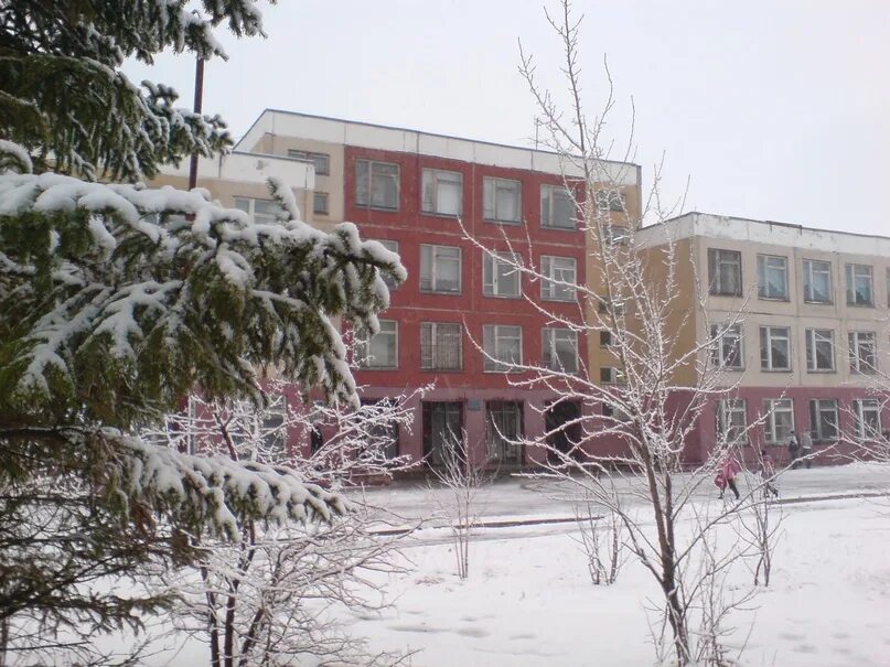 Сайт школы 5 курган