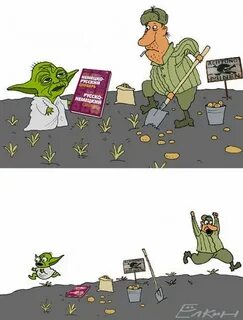 Хочется йода