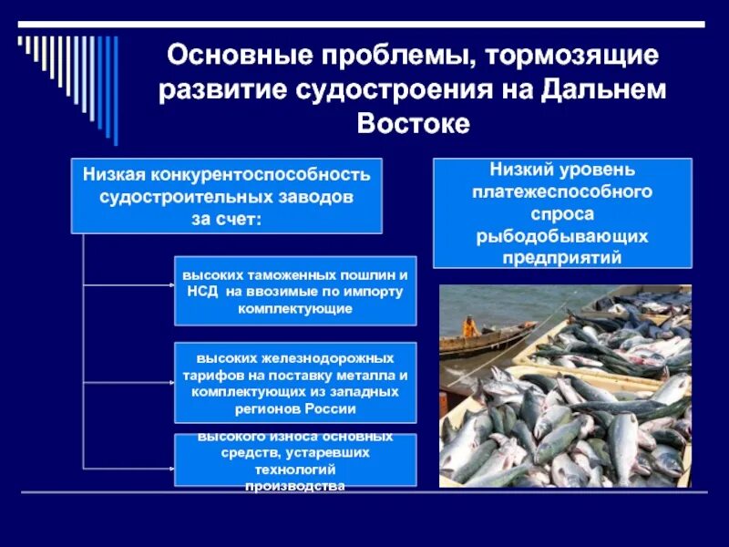 Проблемы производства в россии. Экономические проблемы дальнего Востока. Проблемы и перспективы развития судостроения. Проблемы судостроения. Экологические проблемы дальнего Востока.