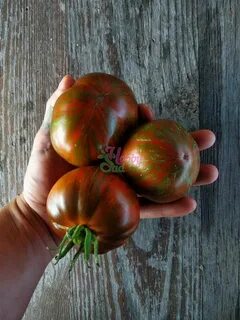 Томат черное сердце америки