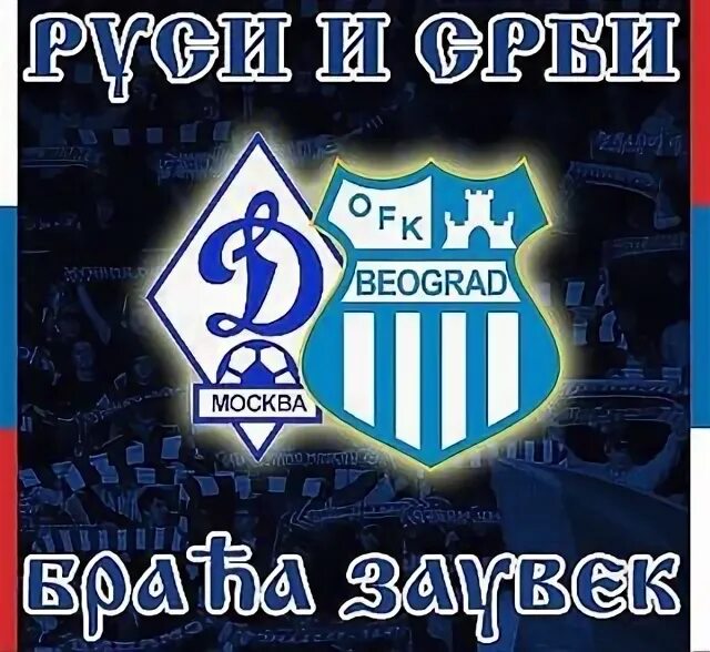 Динамо офк белград 6 июля. Офк белград динамо москва. Фк офк. Офк белград футбольный клуб. Динамо офк белград 6 июля.