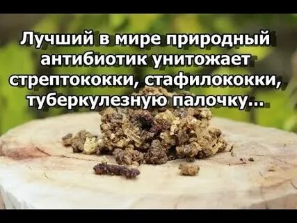 Стафилококк народными