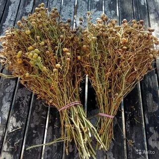 Какую траву от сглаза