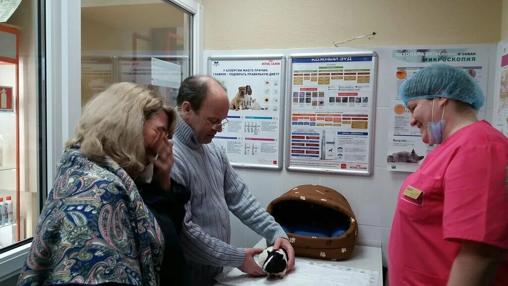 Ветеринар нефтекамск. Ветеринар нефтекамск. Арника ветклиника новосибирск. Ветеринарная клиника балаково. Ветеринарная клиника сыктывкар савина.