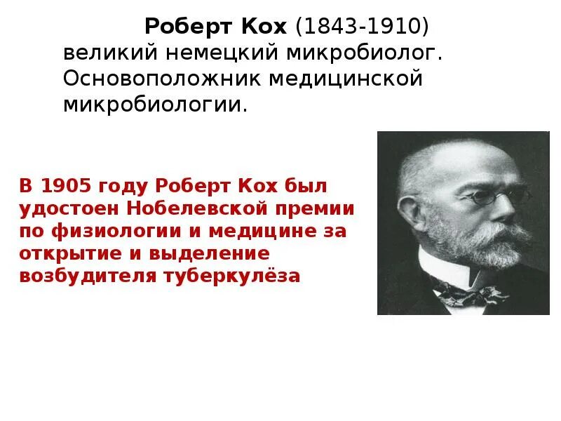 Ответ коха