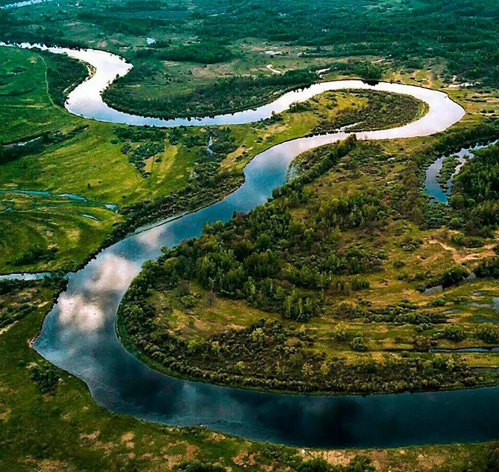 Длинная река рф. Река Обь. Река Обь Ханты-Мансийск. Река Оби Обь. Река Енисей.