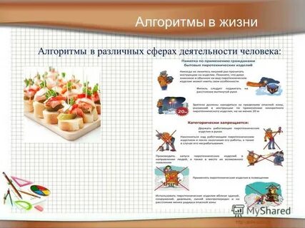 Алгоритмы жизни