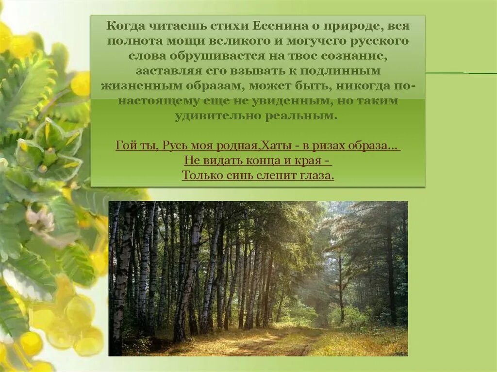 Родная природа в стихотворениях есенина. Природа Есенина. Природа в поэзии Есенина. Тема природы в поэзии Есенина. Есенин тема природы.