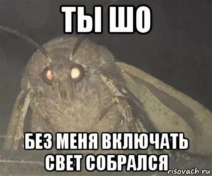 Мемы дед харитон зайчик. Ну ты зови если что. Шо шо. Таки сейчас. Ну шо ты там.