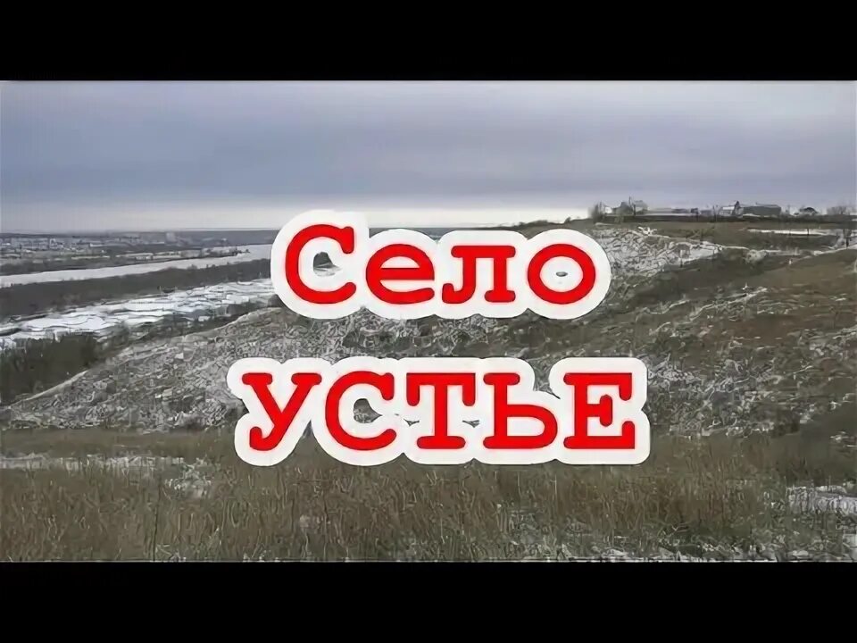 Домики устье воронеж. Пруд в устье хохольский район воронежская область. Устье воронежская область. Хохольский район воронежской области. Село устье хохольский район воронежская область.