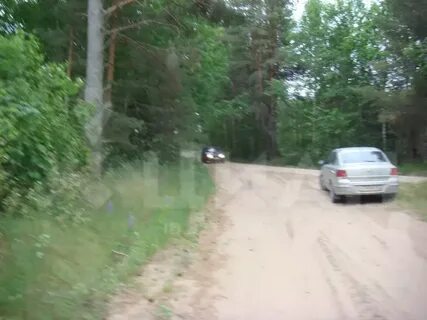 Погода ямм псковскую