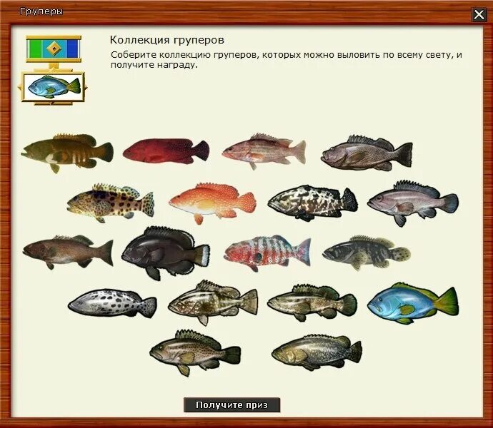 Рр3 карп. Русская рыбалка 3.99. групперы рыба. групперы рыба съедобная. рр3.99.