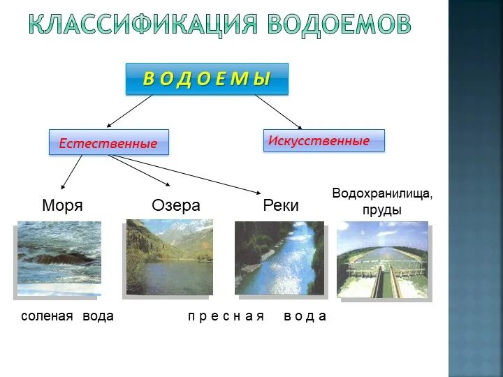 Какие бывают водоемы. Классификация водоемов. Классификация искусственных водоемов. Водоемы презентация. Классификация прудов.