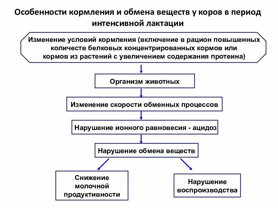 Биологические особенности рогатого скота. Биологические особенности коров. обмен веществ коровы. метаболизм у коров. биологические и хозяйственные особенности крупного рогатого скота.