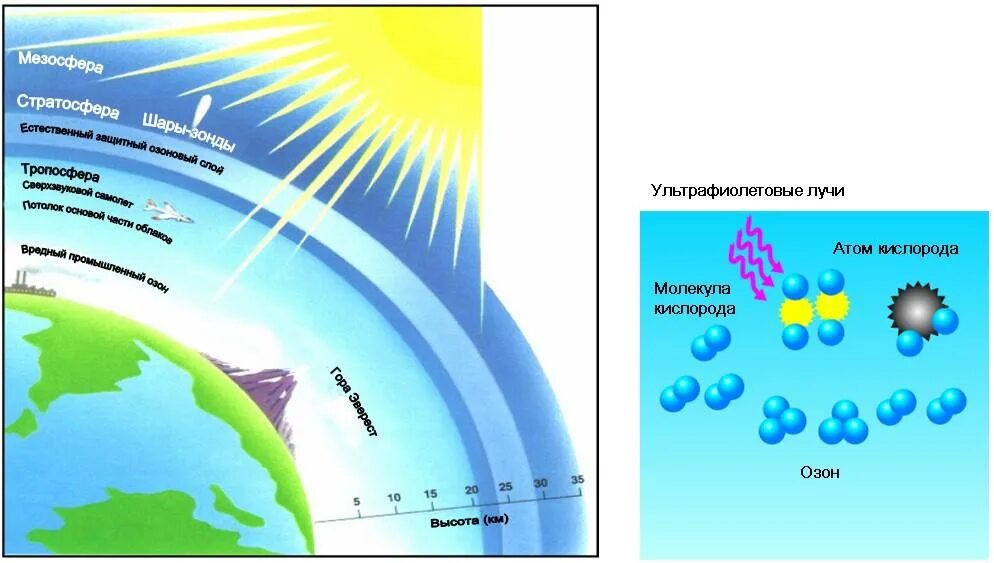 Виды озонового слоя. Озоновый слой атмосферы. Озоновый слой схема. Озоновый слой поглощает ультрафиолетовое излучение. Роль озонового слоя земли.