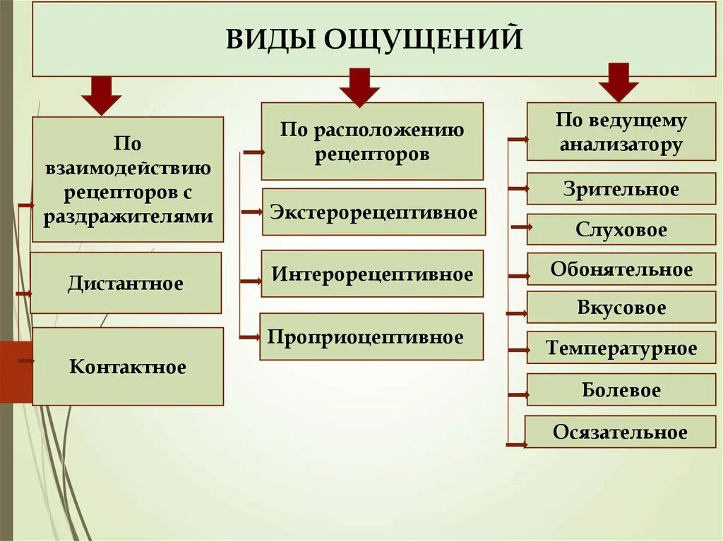 3 класса ощущений. Схема виды ощущений. Классификация ощущений таблица. Ощущение классификация ощущений. Классификация ощущений по виду рецепторов.