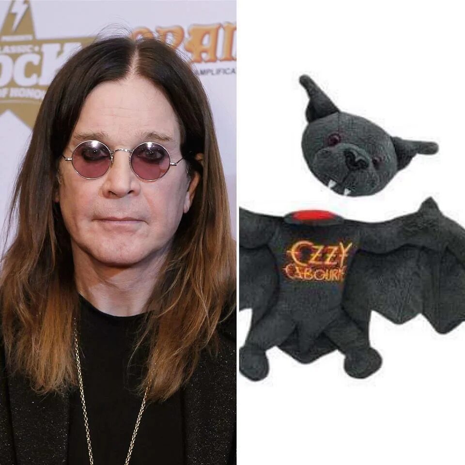 Ози домовой озона. Ози игрушка. Игрушка ozzy beanie ballz, 12,7 см 38130. Игрушка из рекламы озон. Мягкая игрушка домовой.