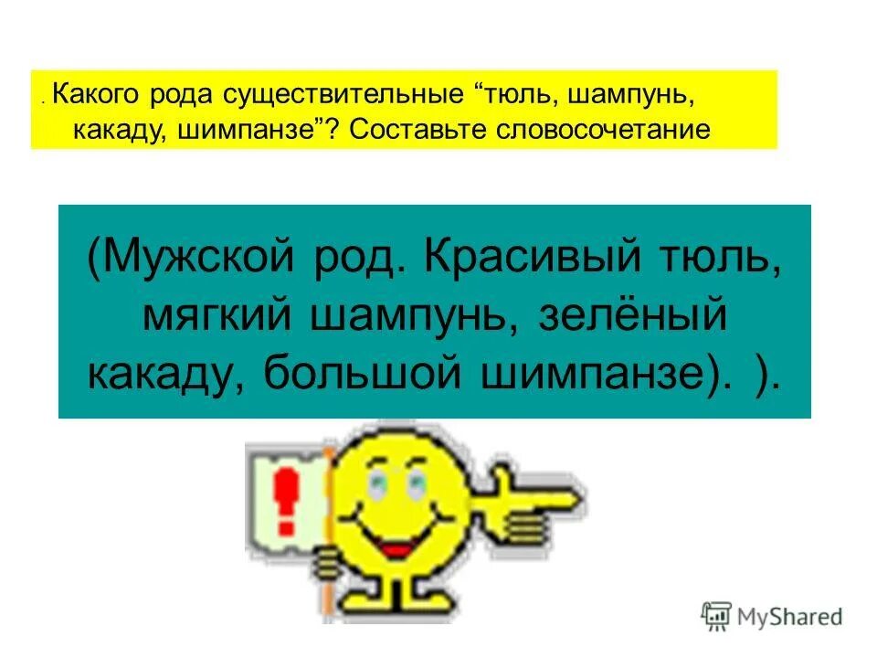 Определите род существительных какаду. Шампунь род существительного. Тюль какого рода. Тюль шампунь род существительного. Шимпанзе какой род существительного.