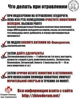 Отравилась что делать симптомы и лечение