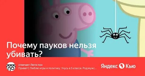 Паука нельзя назвать красивым животным