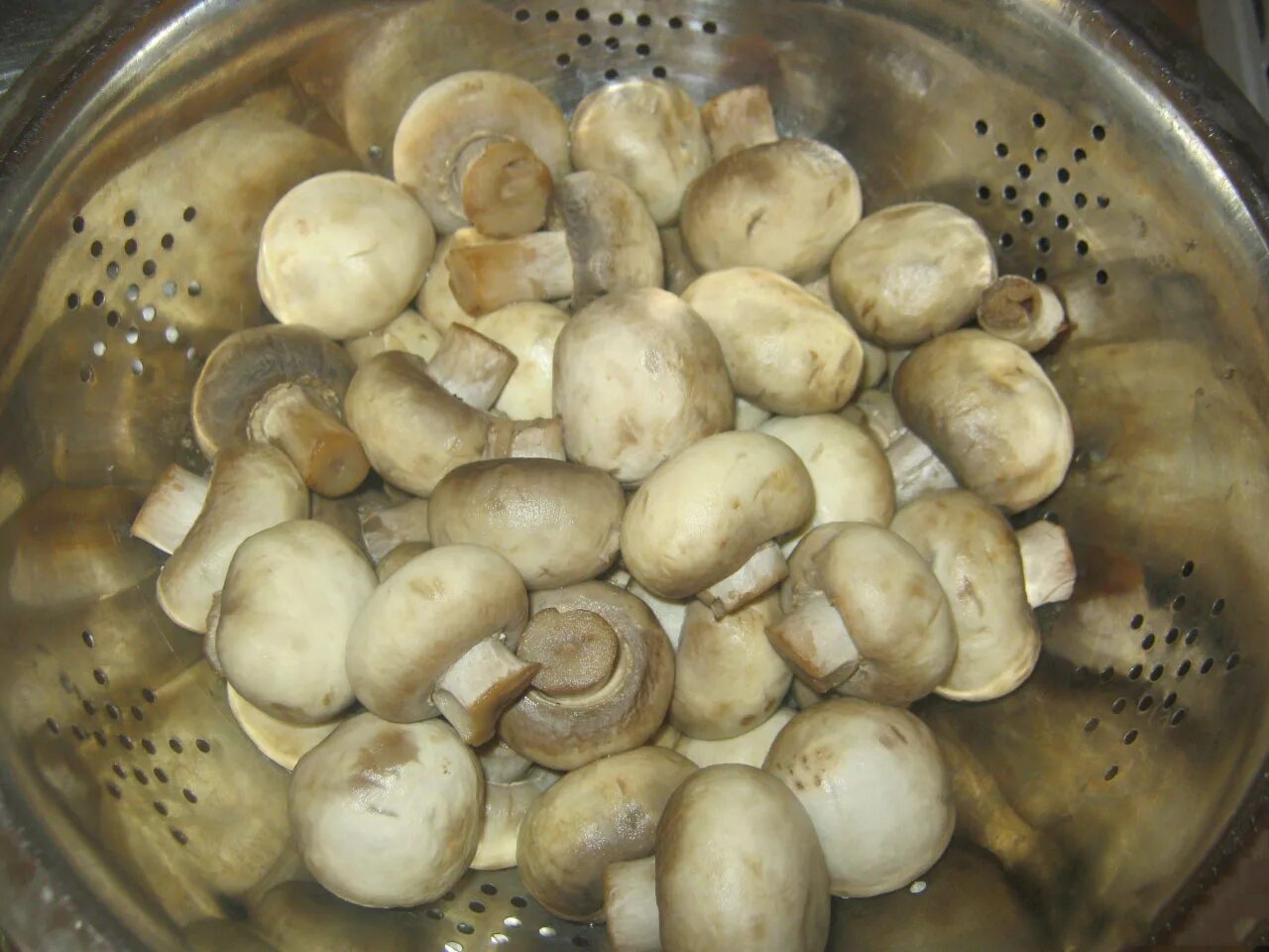 варка шампиньонов. ӂ̈ӑ̈р̆̈ӗ̈н̆̈ы̆̈ӗ̈ г̆̈р̆̈й̈б̆̈ы̆̈. вареные шампиньоны. шампиньоны нарезанные. маленькие шампиньоны.