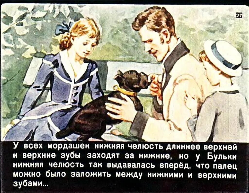 Содержание бульки