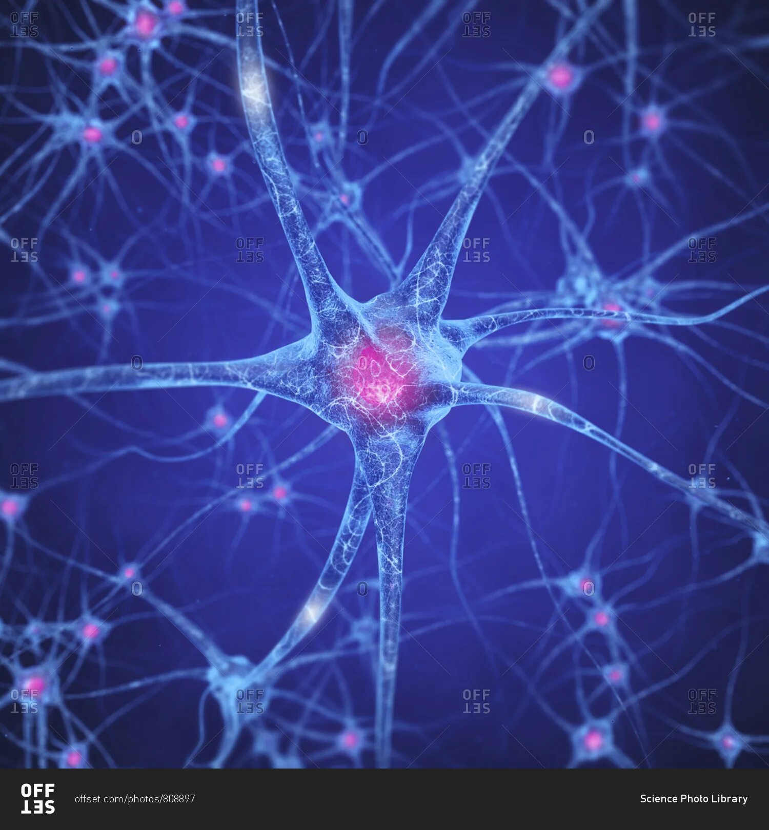 Neural stick