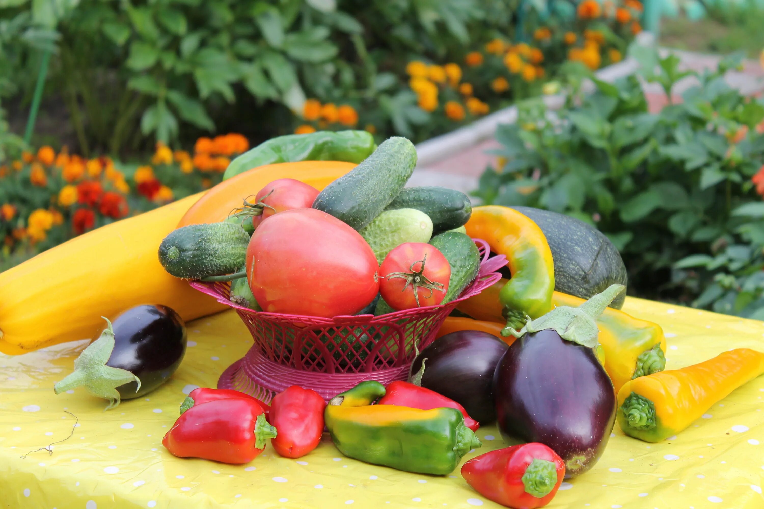 летние овощи. свежие овощи и фрукты. овощи и фрукты для детей. летние овощи. фрукты для детей.