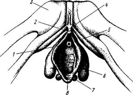 Qishloqdagi jinsiy aloqa porno külotlu çorap
