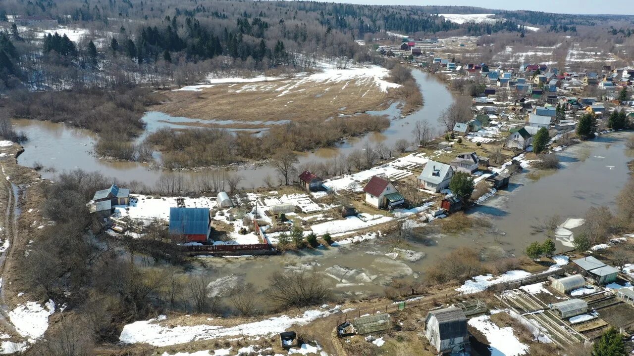 Деревня Водогино Вологда. Сосновый берег Вологда затопило. Тошня река Вологда. Река Тошня Вологодский район. Уровень воды в реке вологда сегодня