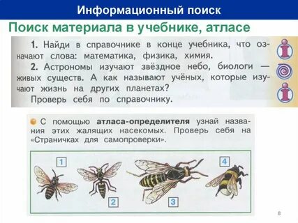 С помощью атласа определителя узнай