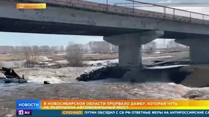 Дамбу съели мыши. Прорыв дамбы Новосибирск. Прорвало дамбу. Дамба прорвалась. Лопнула дамба.