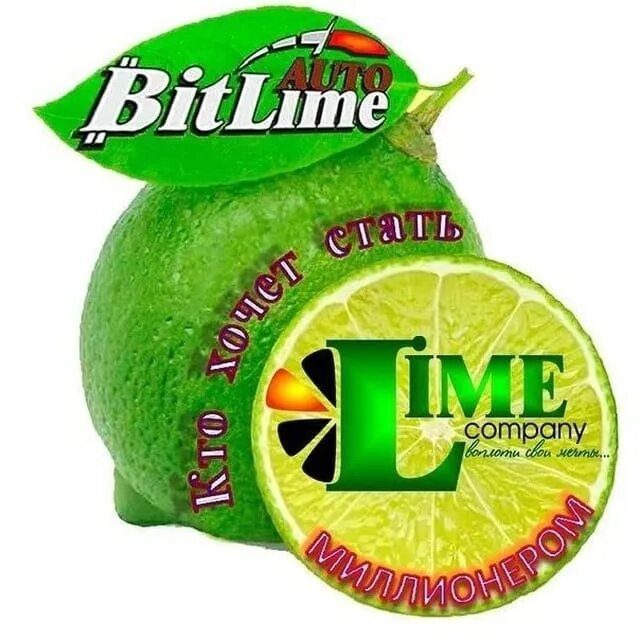 Лайм академия сайт. Лайм компания. Логотип лайм Компани. Lime Академия. Magic Lime Академия.