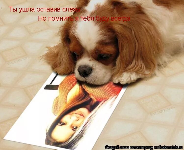 ты ушёл из жизни слишком рано нашу боль. начальник в отпуске мемы. я ухожу картинки. с любимыми не расставайтесь стих. уходи оставь телефон.