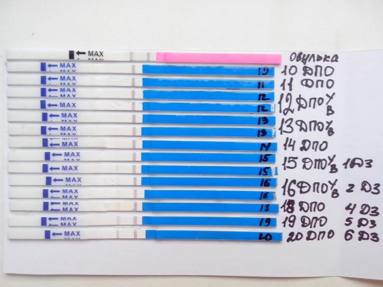 Использованные тесты на беременность повторно. Тест на беременность при внематочной беременности. Тест на беременность показывает внематочную беременность. Показывает ли тест внематочную беременность. Тесты на беременность по дням.