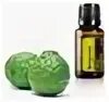 Dōterra чайное дерево touch dōterra tea tree touch дотерра. Эфирное масло doterra бергамот. Дотерра бергамот эфирное. Bergamot mint doterra. Бергамот дотерра.