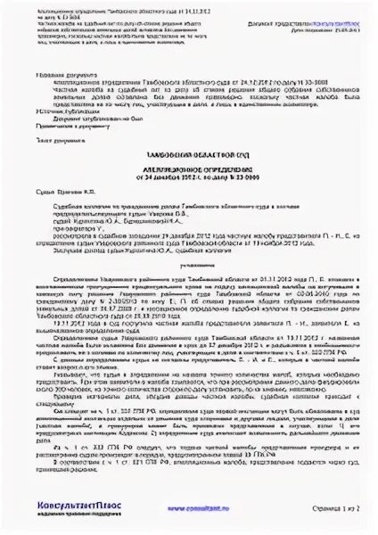 Дополнение к административной жалобе. Дополнение к административной жалобе