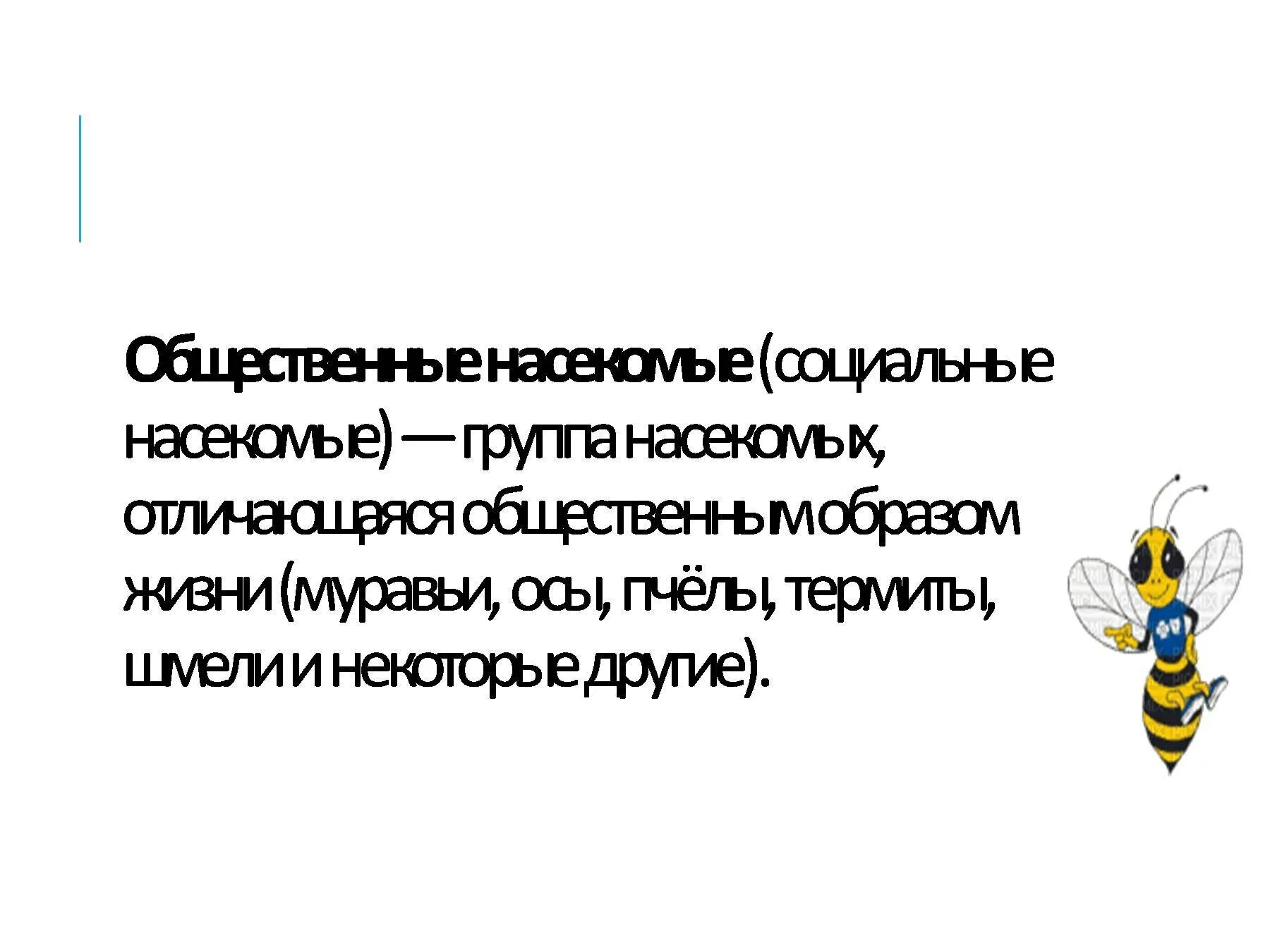 Презентация по биологии на тему Общественные насекомые. Значение пчел и других п