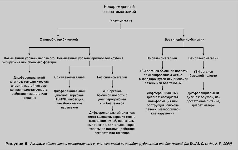 Лечение гепатомегалии у взрослых. Алгоритм диагностики при синдроме гепатомегалии. Дифференциальный диагноз гепатомегалии. Дифференциальная диагностика при синдроме гепатомегалии. Дифференциальная диагностика синдрома спленомегалии.