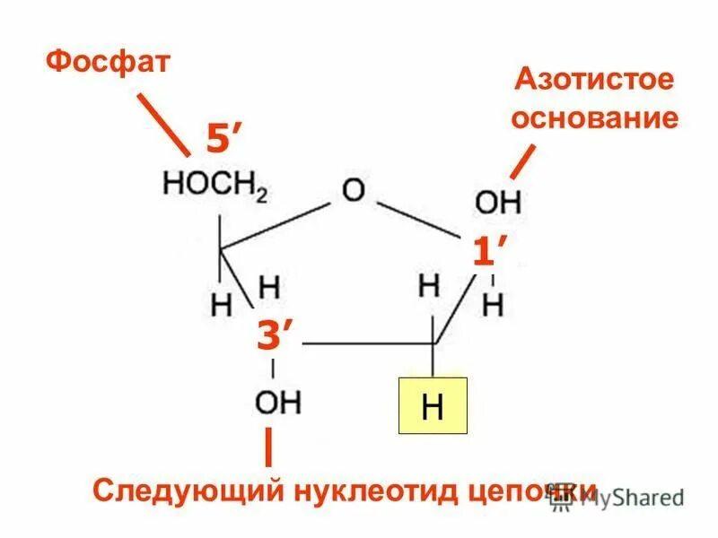 Число фосфатов в следующем списке. Определение фосфатов в воде. Формулы солей. Число фосфатов в следующем списке. Число фосфатов в следующем списке.