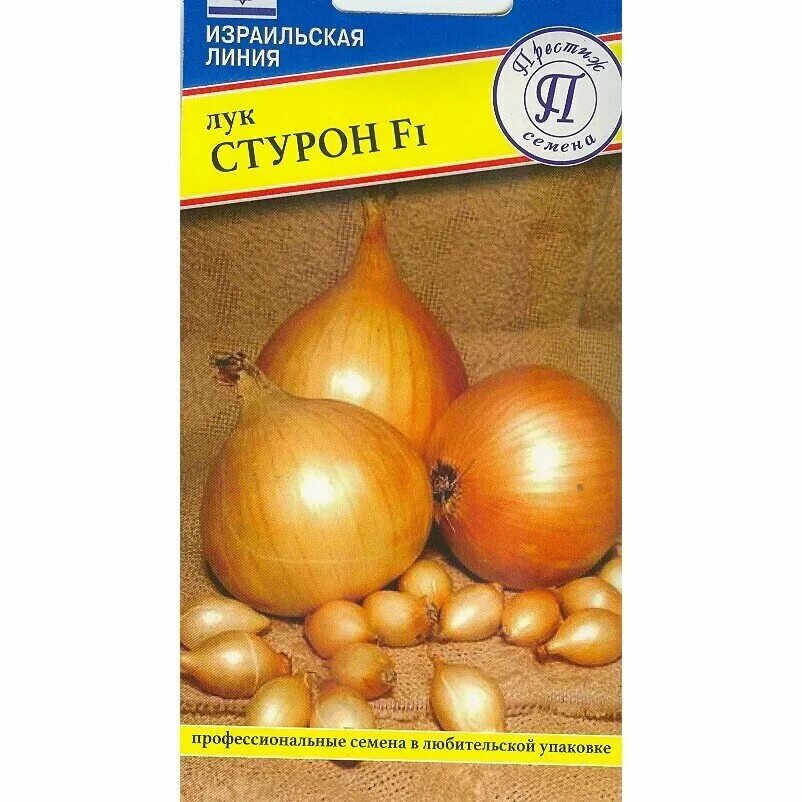 лук-севок стурон. лук-севок стурон. лук севок сорт стурон. лук стурон характеристика. лук-севок стурон.