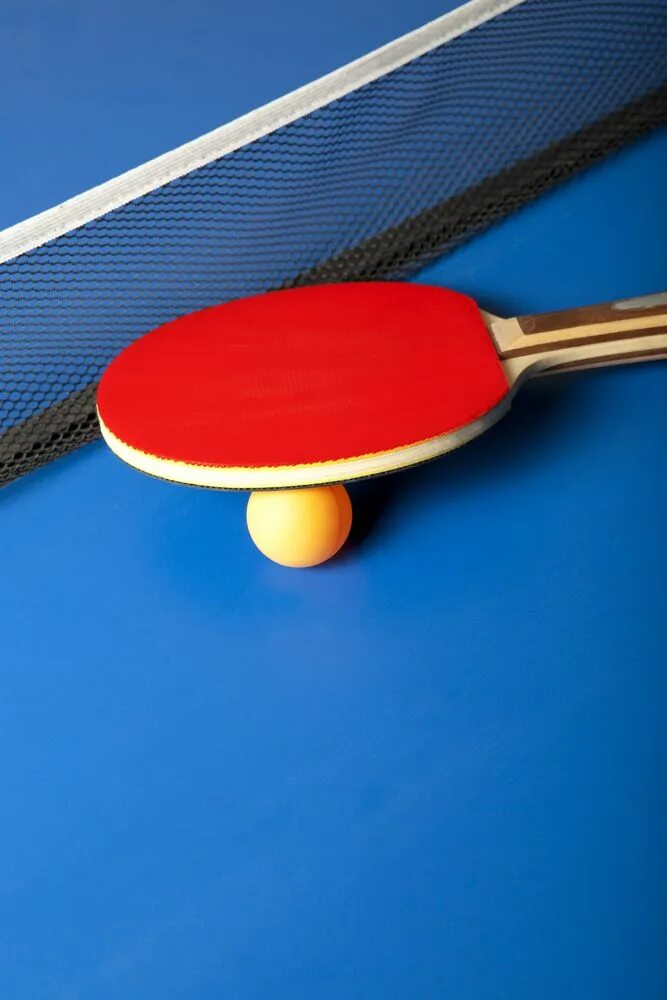 Ping Pong Table Tennis. Настольный теннис вертикальный. Настольный теннис Постер. Визитки настольный теннис.